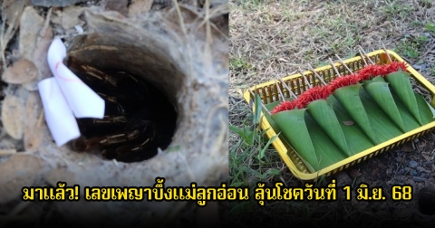 มาแล้ว! เลขเพญาบึ้งแม่ลูกอ่อน ลุ้นโชควันที่ 1 มิ.ย. 68