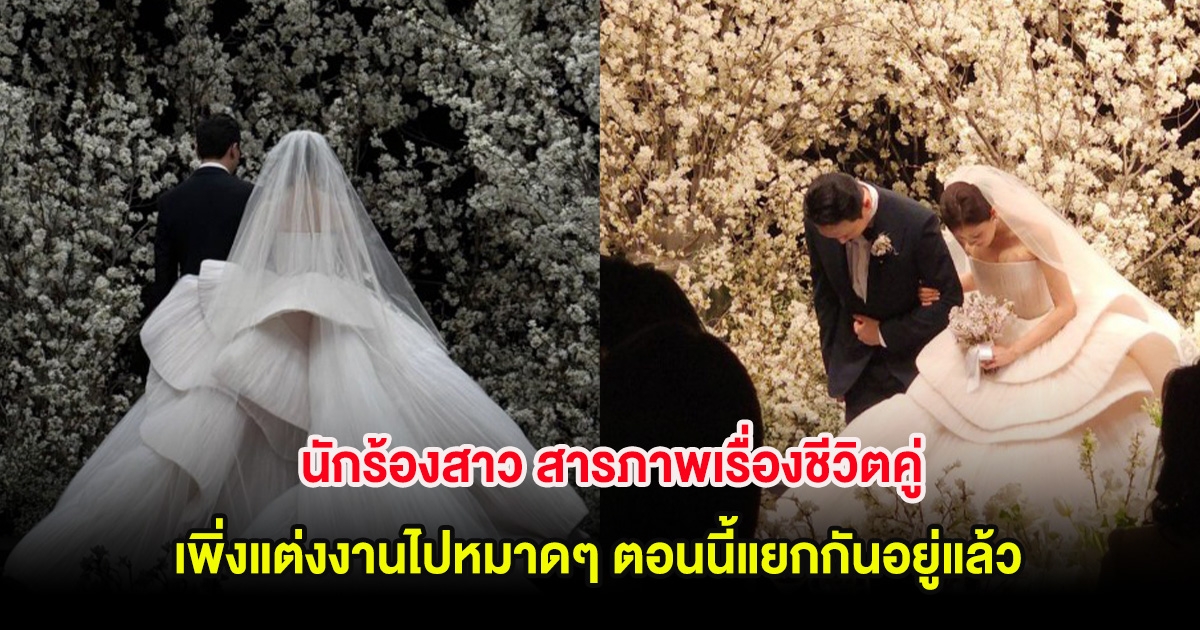 นักร้องสาว สารภาพเรื่องชีวิตคู่ เพิ่งแต่งงานไปหมาดๆ ตอนนี้แยกกันอยู่แล้ว (ต่างประเทศ)