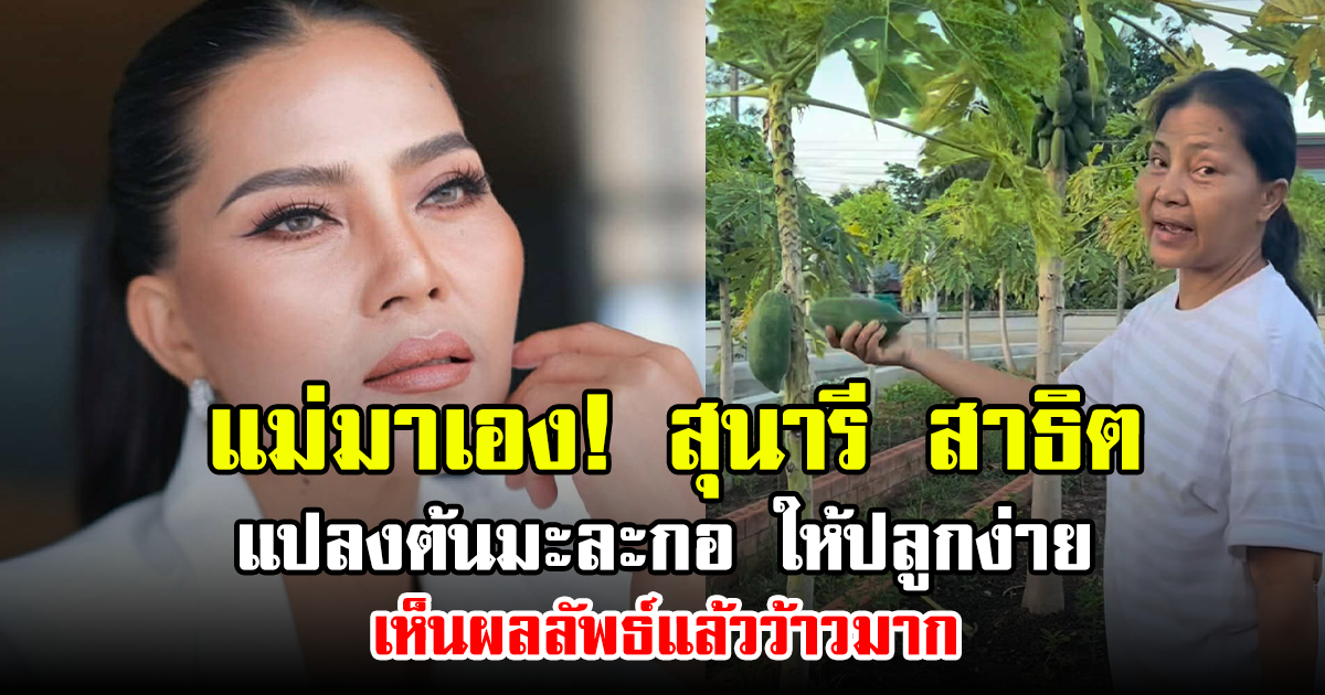 แม่มาเอง! สุนารี สาธิตแปลงต้นมะละกอ ให้ปลูกง่าย เห็นผลลัพธ์แล้วว้าวมาก