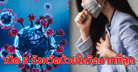 เปิด 5 จังหวัดป่วยโควิดมากที่สุด ในไทยสายพันธุ์ XEC กำลังระบาด