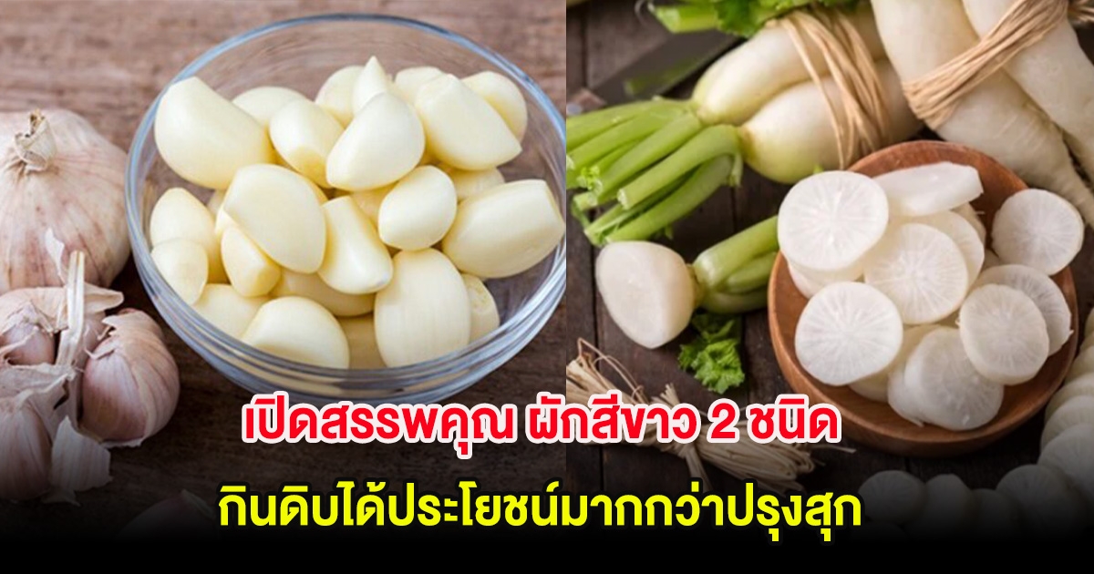 เปิดสรรพคุณ ผักสีขาว 2 ชนิด กินดิบได้ประโยชน์มากกว่าปรุงสุก หลายคนไม่นิยม