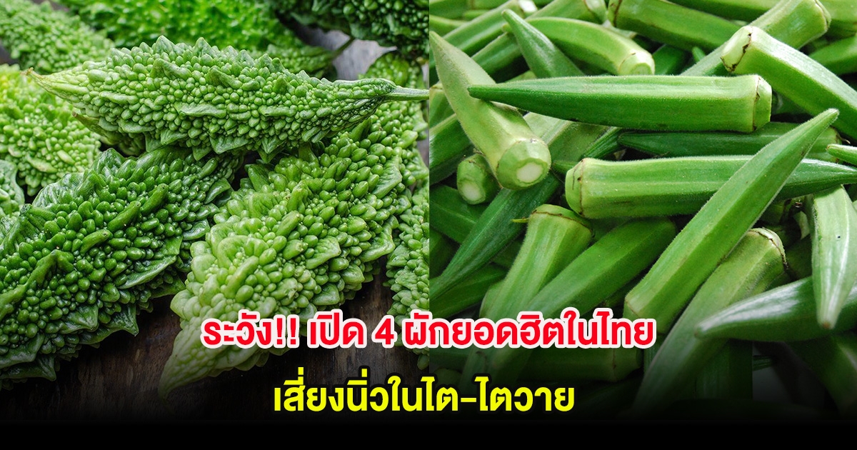 ระวัง!! เปิด 4 ผักยอดฮิตในไทย เสี่ยงนิ่วในไต-ไตวาย