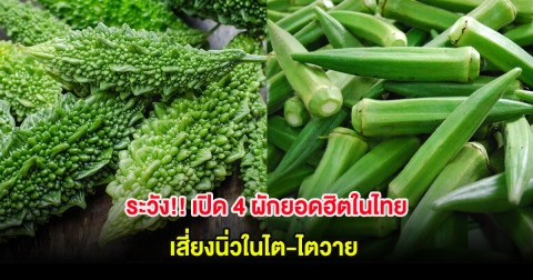 ระวัง!! เปิด 4 ผักยอดฮิตในไทย เสี่ยงนิ่วในไต-ไตวาย