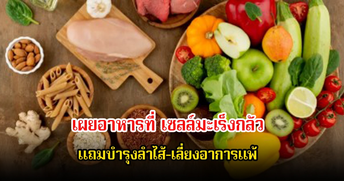 แพทย์เผยอาหารที่ เซลล์มะเร็งกลัว ต้านโรคร้ายด้วยวิธีธรรมชาติ แถมบำรุงลำไส้-เลี่ยงอาการแพ้