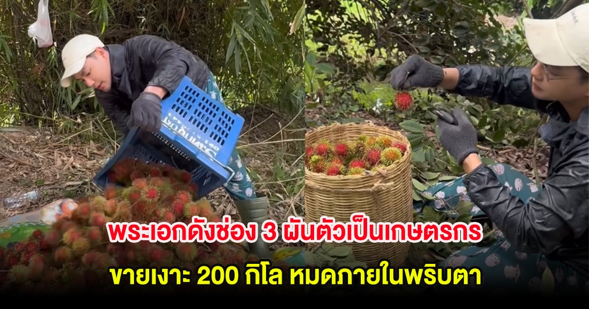 พระเอกดังช่อง 3 ผันตัวเป็นเกษตรกร ขายเงาะ 200 กิโล หมดภายในพริบตา