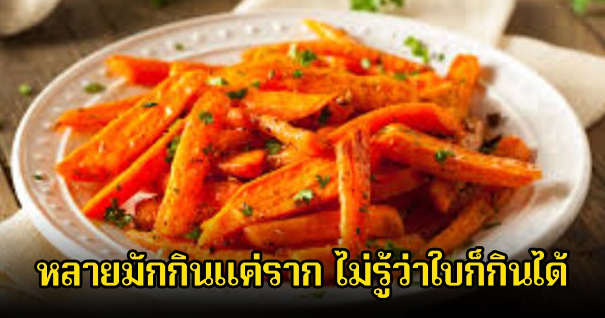 หลายคนไม่รู้! ผัก 1 ชนิด มักกินแค่ส่วนหัว แต่จริงๆแล้ว ใบ ของมันต่างหาก คือขุมทรัพย์ล้ำค่า