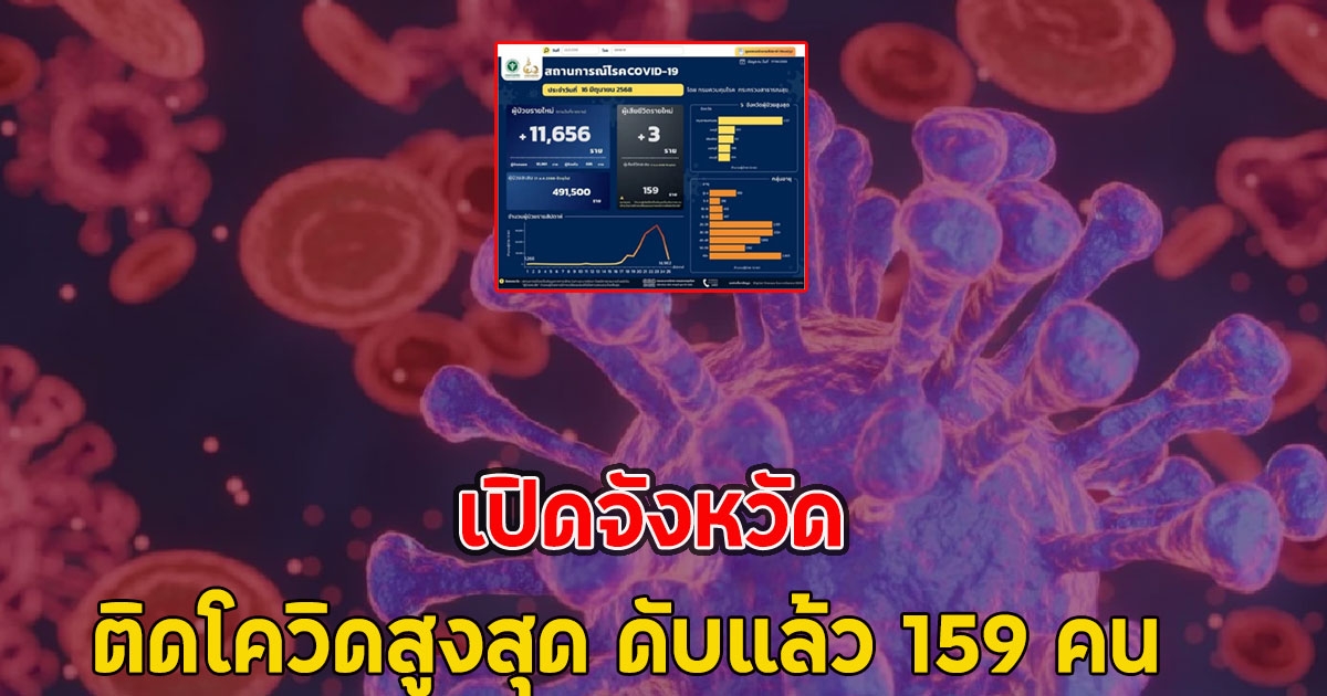 เปิดจังหวัด ติดโควิดสูงสุด ดับแล้ว 159 คน