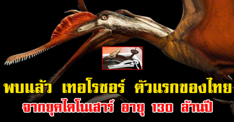 พบแล้ว เทอโรซอร์ ตัวแรกของไทย จากยุคไดโนเสาร์ อายุ 130 ล้านปี