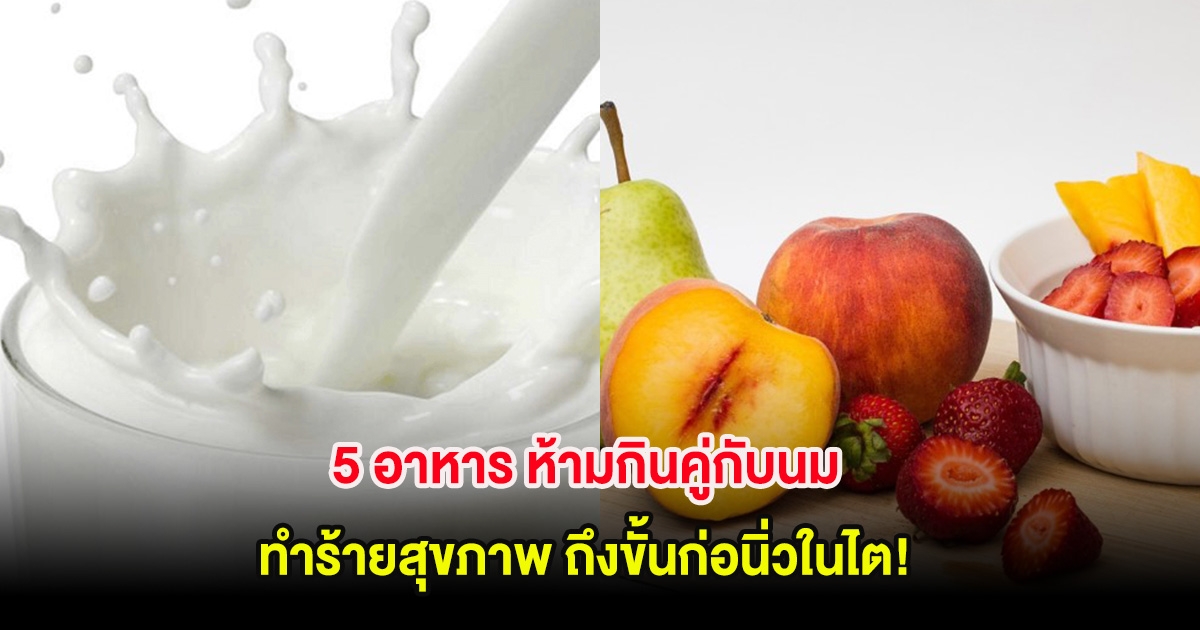 5 อาหาร ห้ามกินคู่กับนม ทำร้ายสุขภาพ ถึงขั้นก่อนิ่วในไต!