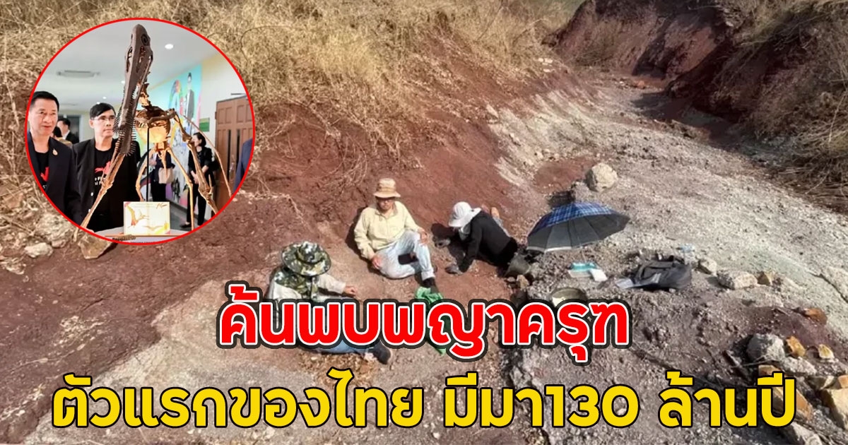 ค้นพบพญาครุฑ สัตว์เลื้อยคลานบินได้ตัวแรกของไทย มีมา130 ล้านปี