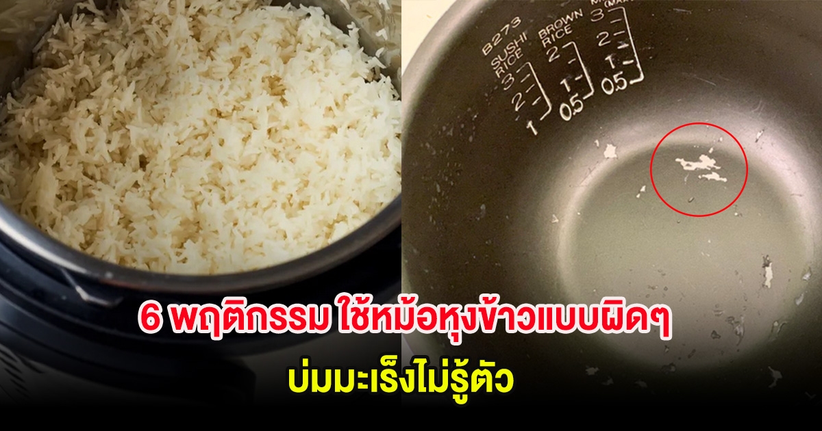 6 พฤติกรรม ใช้หม้อหุงข้าวแบบผิดๆ บ่มมะเร็งไม่รู้ตัว