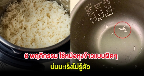 6 พฤติกรรม ใช้หม้อหุงข้าวแบบผิดๆ บ่มมะเร็งไม่รู้ตัว
