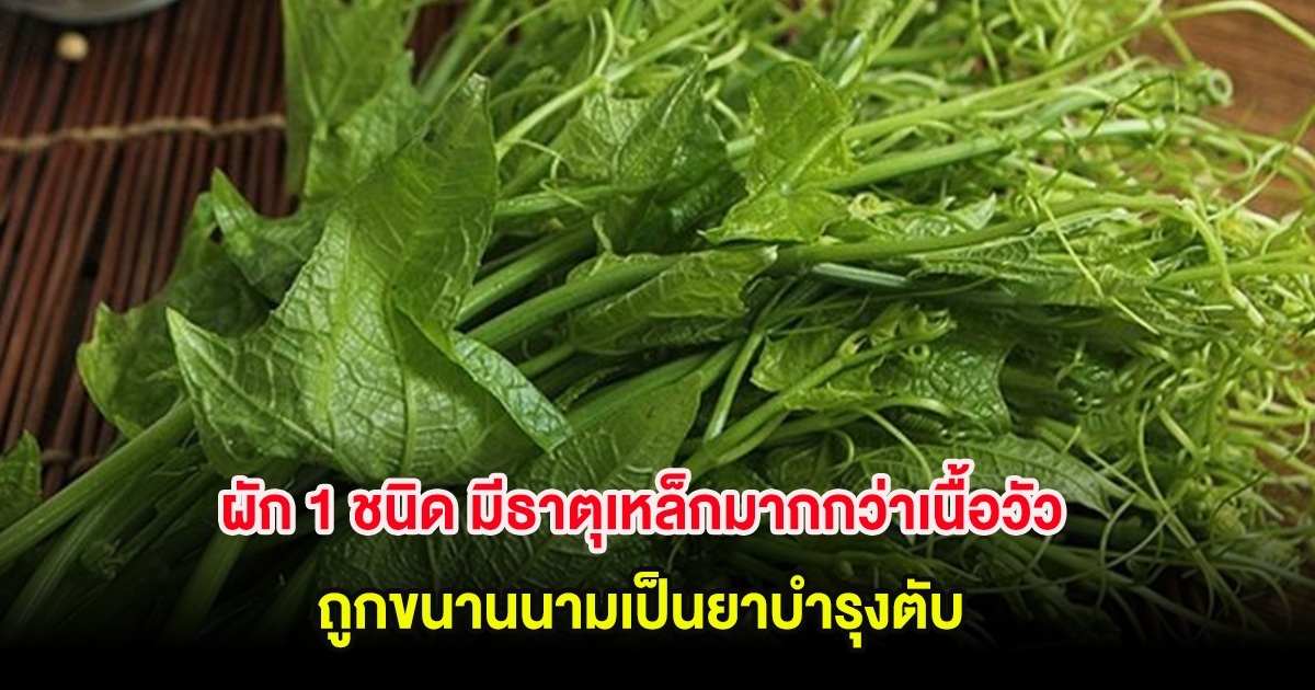 คนไทยชอบกินมาก!! ผัก 1 ชนิด มีธาตุเหล็กมากกว่าเนื้อวัว ถูกขนานนามเป็นยาบำรุงตับ