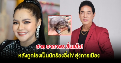 ฮาย อาภาพร ลั่นเเล้ว! หลังถูกโยงเป็นนักร้องอึ่งไข่ ยุ่งการเมือง