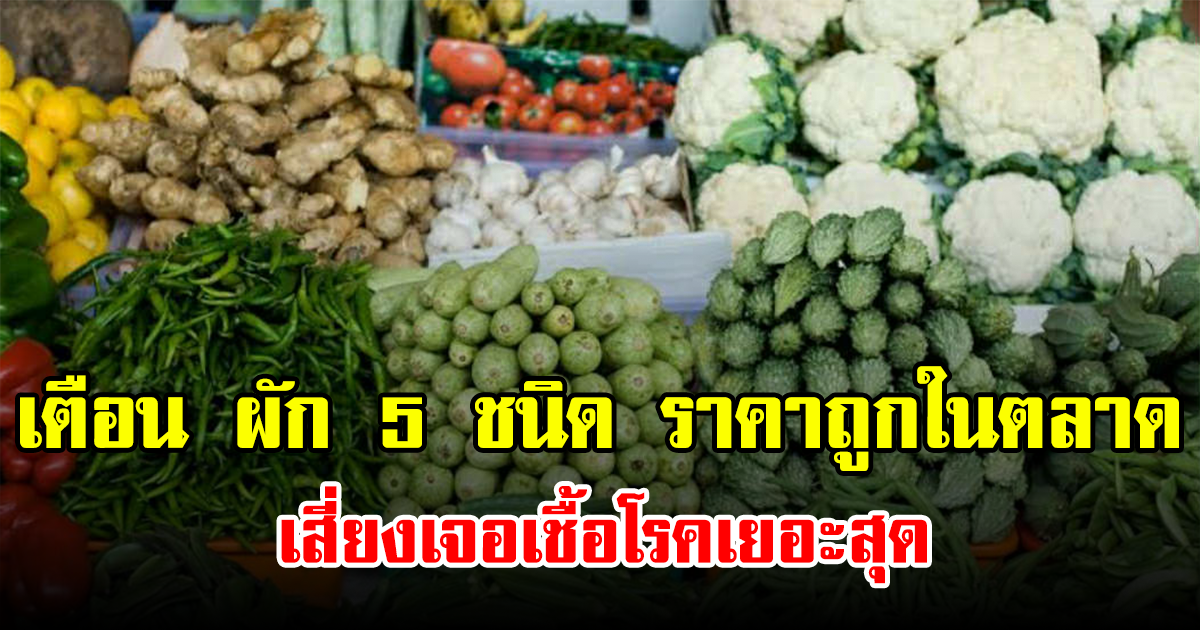 เตือน ผัก 5 ชนิด ราคาถูกในตลาด เสี่ยงเจอเชื้อโรคเยอะสุด
