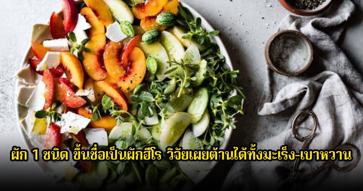 ไทยมีทั้งปี! ผัก 1 ชนิด ขึ้นชื่อเป็นผักฮีโร วิจัยเผยต้านได้ทั้งมะเร็ง-เบาหวาน