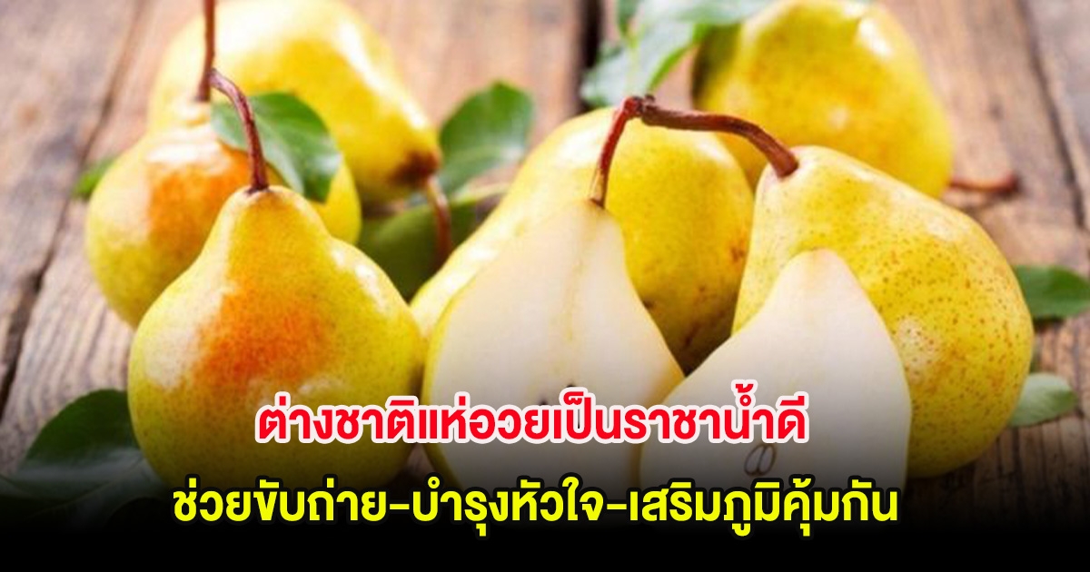 เปิดผลไม้ 1 ชนิด ต่างชาติแห่อวยเป็นราชาน้ำดี ช่วยขับถ่าย-บำรุงหัวใจ-เสริมภูมิคุ้มกัน