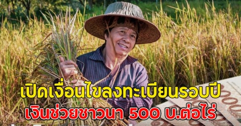 เปิดเงื่อนไขลงทะเบียนรอบปี เงินช่วยชาวนา 500 บ.ต่อไร่
