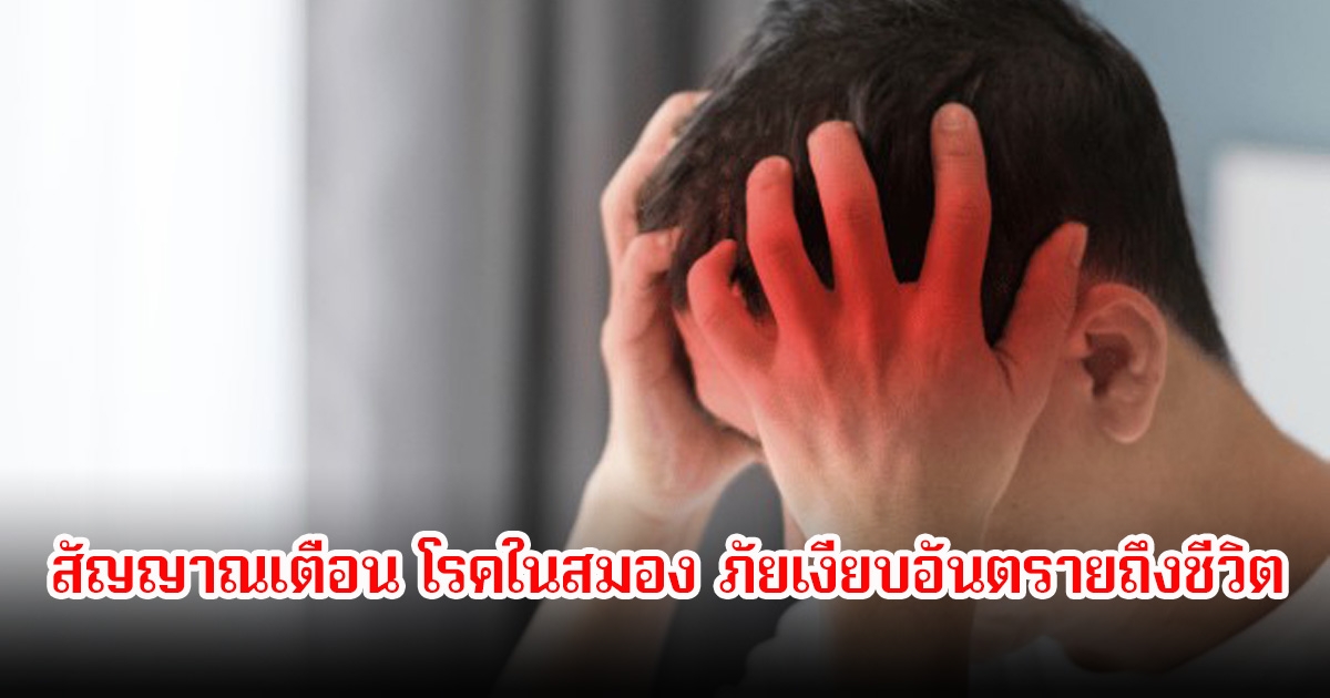 ระวัง! สัญญาณเตือน โรคในสมอง ภัยเงียบอันตรายถึงชีวิต