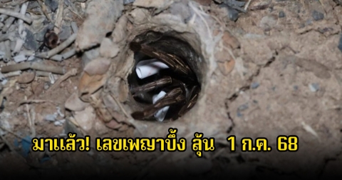 มาแล้ว! เลขเพญาบึ้ง จุดธูปขอเบอร์ ลุ้นโชควันที่ 1 ก.ค. 68