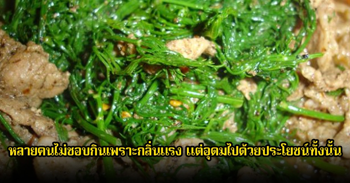 ผักชั้นดี หลายคนไม่ชอบกินเพราะกลิ่นแรง แต่อุดมไปด้วยประโยชน์ทั้งนั้น