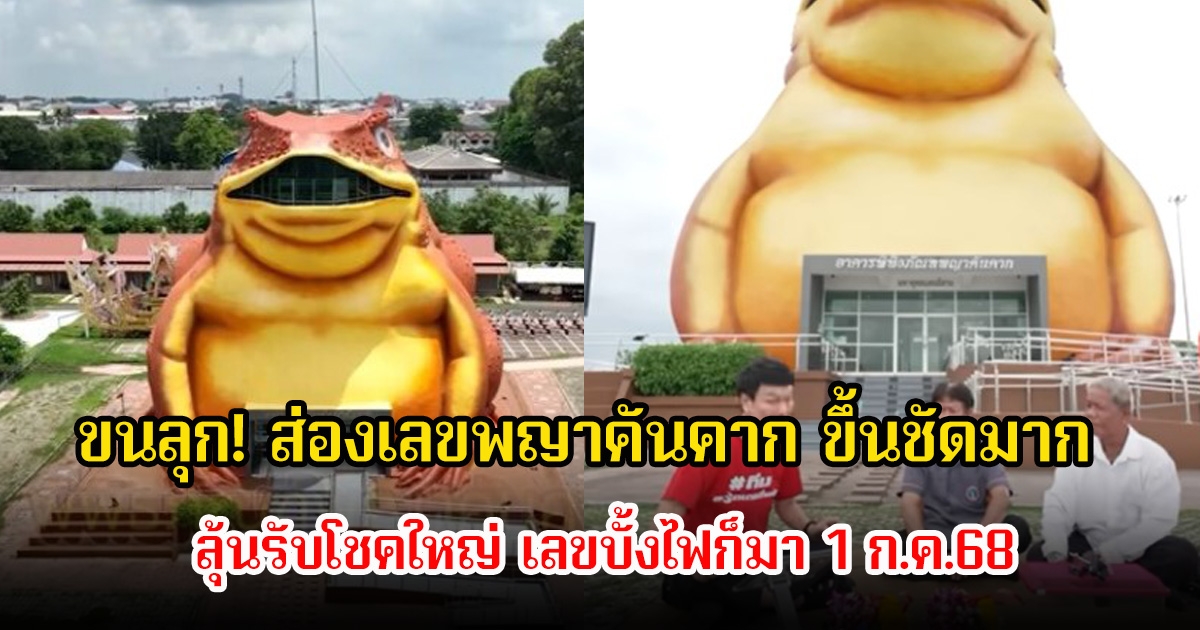 ขนลุก! ส่องเลขพญาคันคาก ขึ้นชัดมาก ลุ้นรับโชคใหญ่ เลขบั้งไฟก็มา 1 ก.ค.68