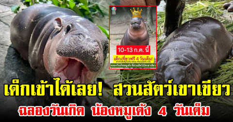 เด็กเข้าได้เลย! สวนสัตว์เขาเขียวฉลองวันเกิด น้องหมูเด้ง 4 วันเต็ม ไม่เสียเงินสักบาท