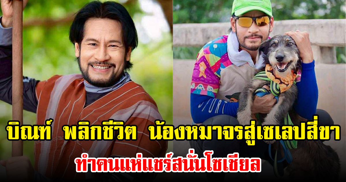 บิณฑ์ พลิกชีวิต น้องหมาจรสู่เซเลปสี่ขา ทำคนแห่แชร์สนั่นโซเชียล