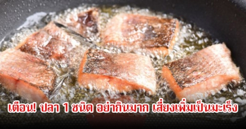 หมอเตือน! ปลา 1 ชนิด หากกินมากไป เสี่ยงเพิ่มเป็นมะเร็ง หลายคนชอบกินกันเพียบ