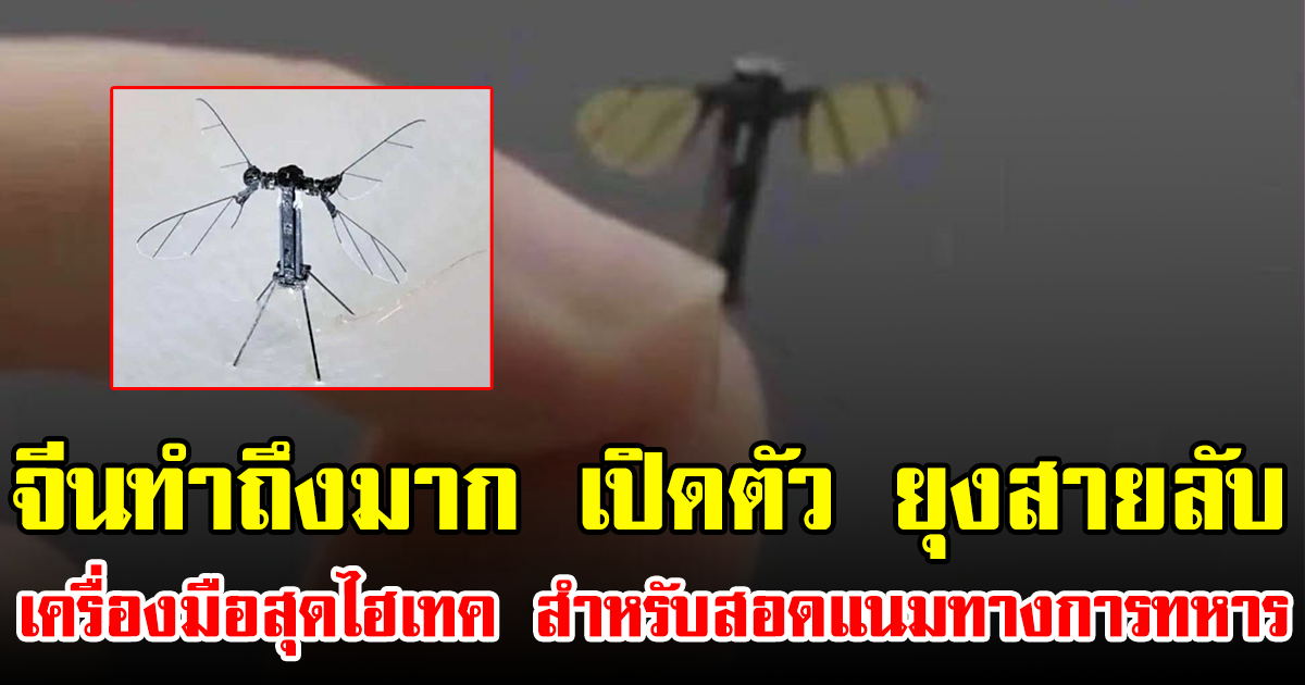 จีนทำถึงมาก เปิดตัว ยุงสายลับ เครื่องมือสุดไฮเทค สำหรับสอดแนมทางการทหาร (ข่าวต่างประเทศ)