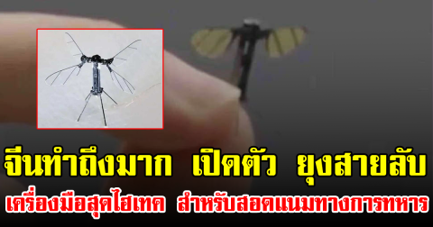 จีนทำถึงมาก เปิดตัว ยุงสายลับ เครื่องมือสุดไฮเทค สำหรับสอดแนมทางการทหาร (ข่าวต่างประเทศ)