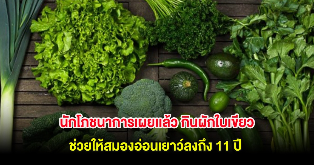 นักโภชนาการเผยเเล้ว กินผักใบเขียว ทุกวันช่วยให้สมองอ่อนเยาว์ลงถึง 11 ปี