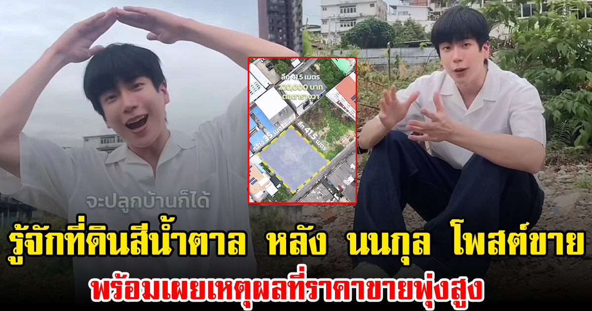 รู้จักที่ดินสีน้ำตาล หลัง นนกุล โพสต์ขาย พร้อมเผยเหตุผลที่ราคาขายพุ่งสูง