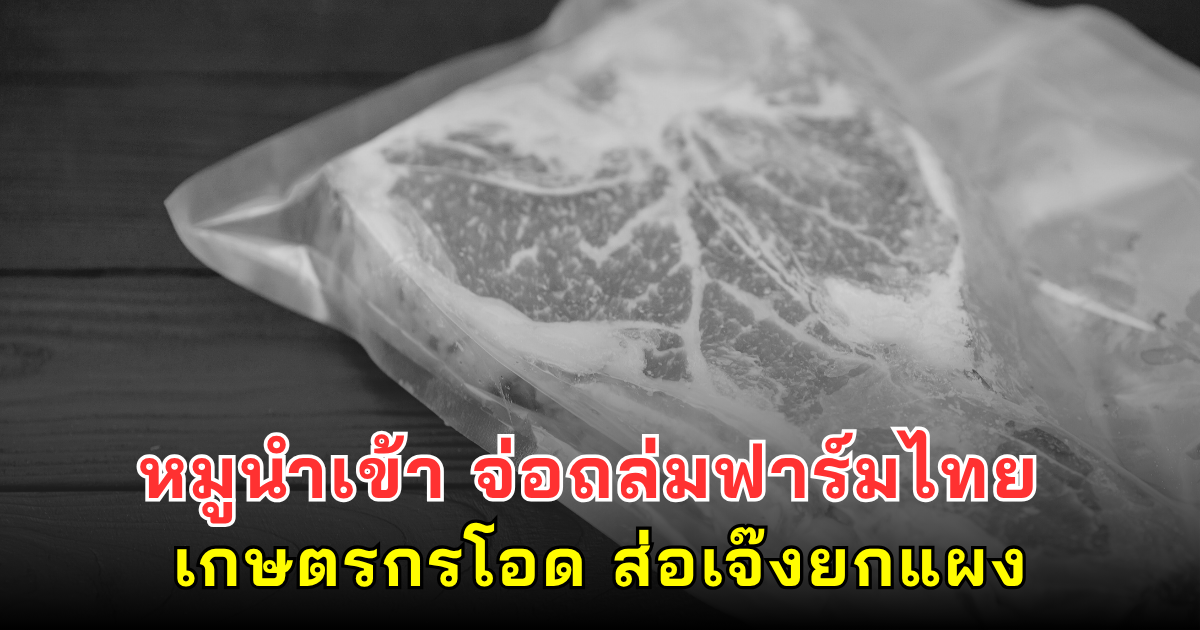 หมูนำเข้า จ่อถล่มฟาร์มไทย เกษตรกรโอด ส่อเจ๊งยกแผง