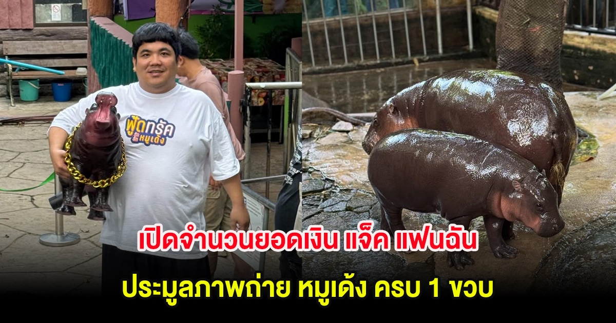 เปิดจำนวนยอดเงิน แจ็ค แฟนฉัน ประมูลภาพถ่าย หมูเด้ง ครบ 1 ขวบ