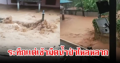 ด่วน! น่าน ระทึกแต่เช้ามืดน้ำป่าไหลหลาก เข้าท่วมบ้านเรือนประชาชน