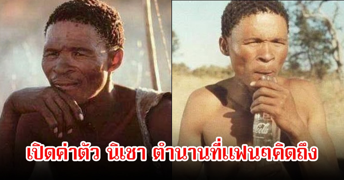 เปิดค่าตัว นิเชา ตำนานคนป่าสู่ดาราดังระดับตำนานที่ทั้งโลกจดจำ ก่อนจะจากไปตลอดกาล