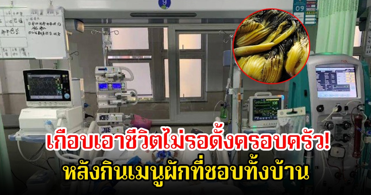 ทุกบ้านกินประจำ พ่อแม่ลูก 3 ชีวิต เกือบเอาชีวิตไม่รอด ช็อก! หลังรู้ว่าสาเหตุเพราะกินเมนูผักสุดโปรด หมดชี้อาจเกิดจากวิธีทำ