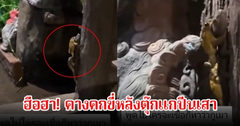 ฮือฮา! หนุ่มพบคางคกขี่หลังตุ๊กแกปีนเสา ลั่นพูดไปใครจะเชื่อ ชาวเน็ตคอมเมนต์สนั่นโซเชียล