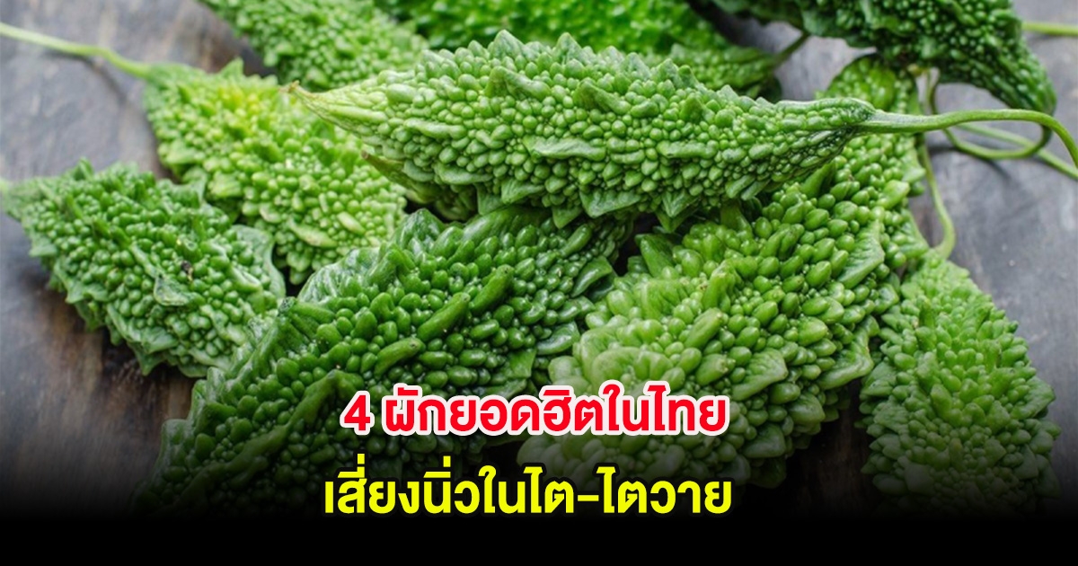 4 ผักยอดฮิตในไทย เสี่ยงนิ่วในไต-ไตวาย