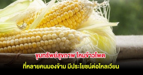 ขุมทรัพย์สุขภาพ ไหมข้าวโพด ที่หลายคนมองข้าม มีประโยชน์ต่อไหลเวียน