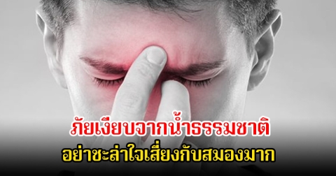 แพทย์เตือน ภัยเงียบจากน้ำธรรมชาติ อย่าชะล่าใจเสี่ยงกับสมองมาก เผยอาการหลังติดเชื้อ