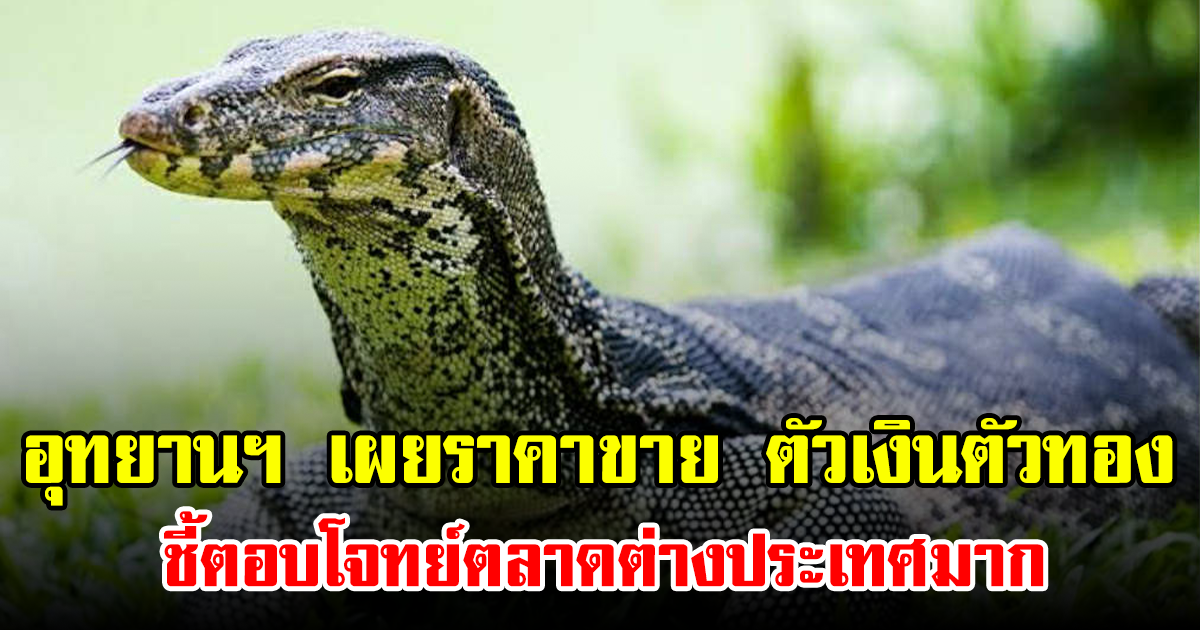 อุทยานฯ เผยราคาขาย พ่อแม่พันธุ์ตัวเงินตัวทอง ชี้ตอบโจทย์ตลาดต่างประเทศมาก