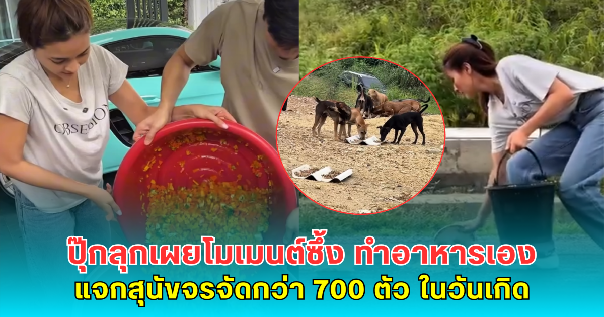 ปุ๊กลุกเผยโมเมนต์ซึ้ง ทำอาหารเอง แจกสุนัขจรจัดกว่า 700 ตัว ในวันเกิด
