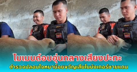 โมเมนต์อบอุ่นกลางเสียงปะทะ ตำรวจปลอบใจหมาน้อยขวัญเสียในบังเกอร์ชายแดน