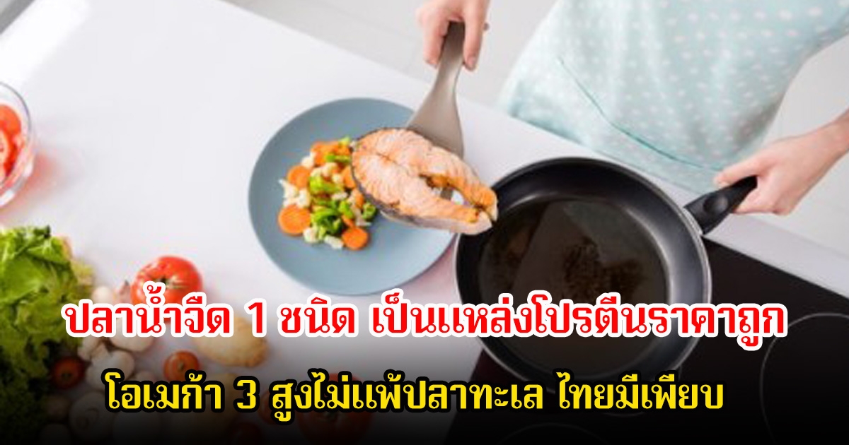 ปลาน้ำจืด 1 ชนิด เป็นแหล่งโปรตีนราคาถูก โอเมก้า 3 สูงไม่แพ้ปลาทะเล ไทยมีเพียบ