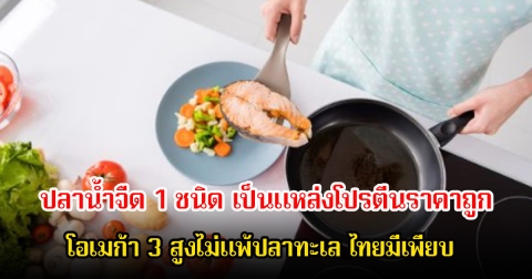 ปลาน้ำจืด 1 ชนิด เป็นแหล่งโปรตีนราคาถูก โอเมก้า 3 สูงไม่แพ้ปลาทะเล ไทยมีเพียบ