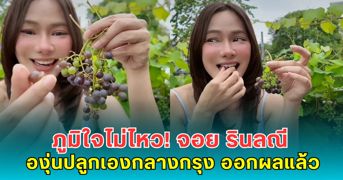 ภูมิใจไม่ไหว! จอย รินลณี เผยโมเมนต์สุดฟิน องุ่นปลูกเองกลางกรุง ออกผลแล้ว