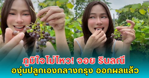 ภูมิใจไม่ไหว! จอย รินลณี เผยโมเมนต์สุดฟิน องุ่นปลูกเองกลางกรุง ออกผลแล้ว