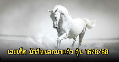 มาแรง! เลขเด็ด ม้าสีหมอกมาแล้ว ลุ้น 16/8/68